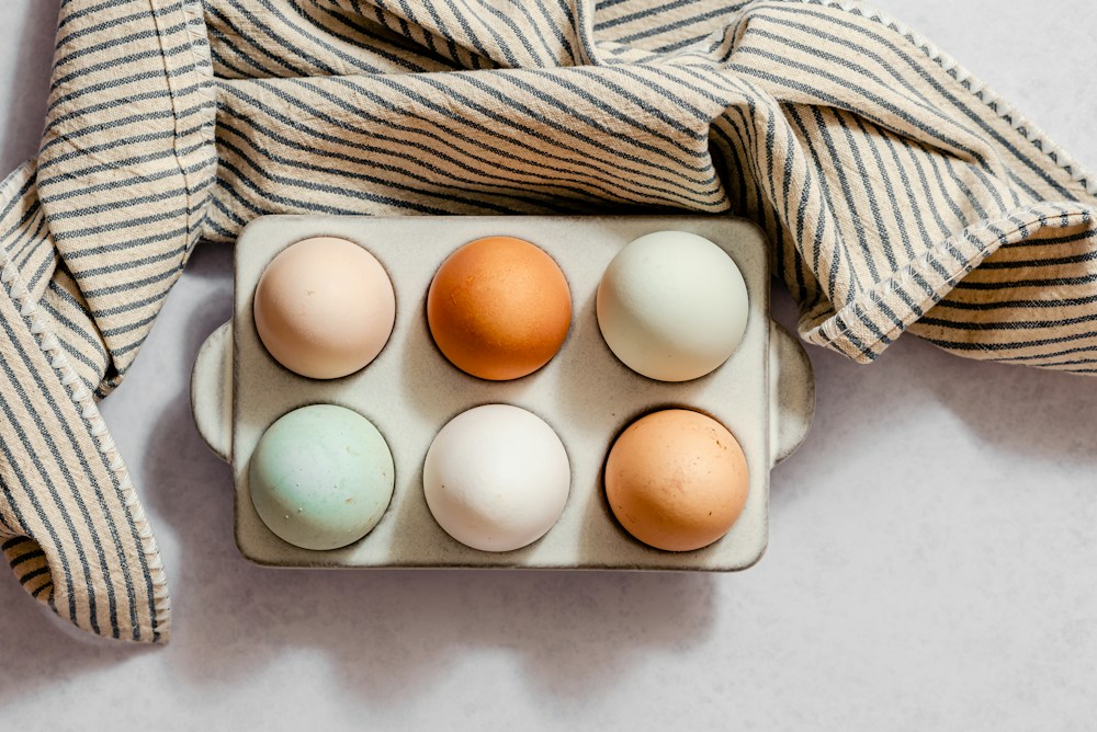 Fresh eggs for everyday meals